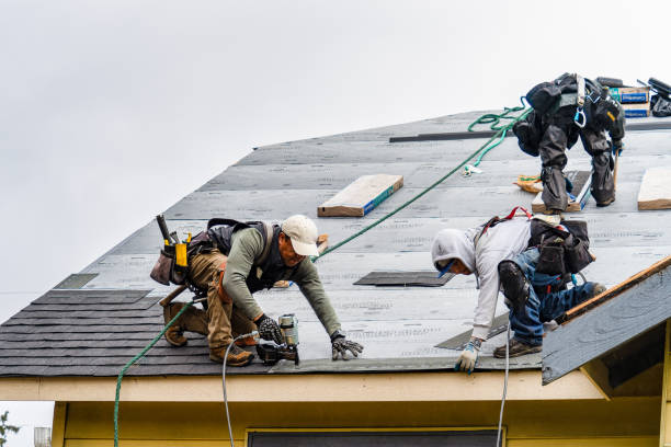 Professional Emergency Roof Repair technician working in Montgomery, IN